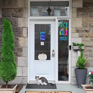 https://hostel-pvt.hotels-in-montreal.org